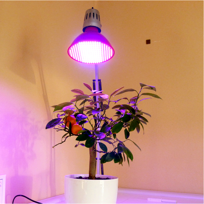 Как выбрать светодиодные лампы для выращивания растений?